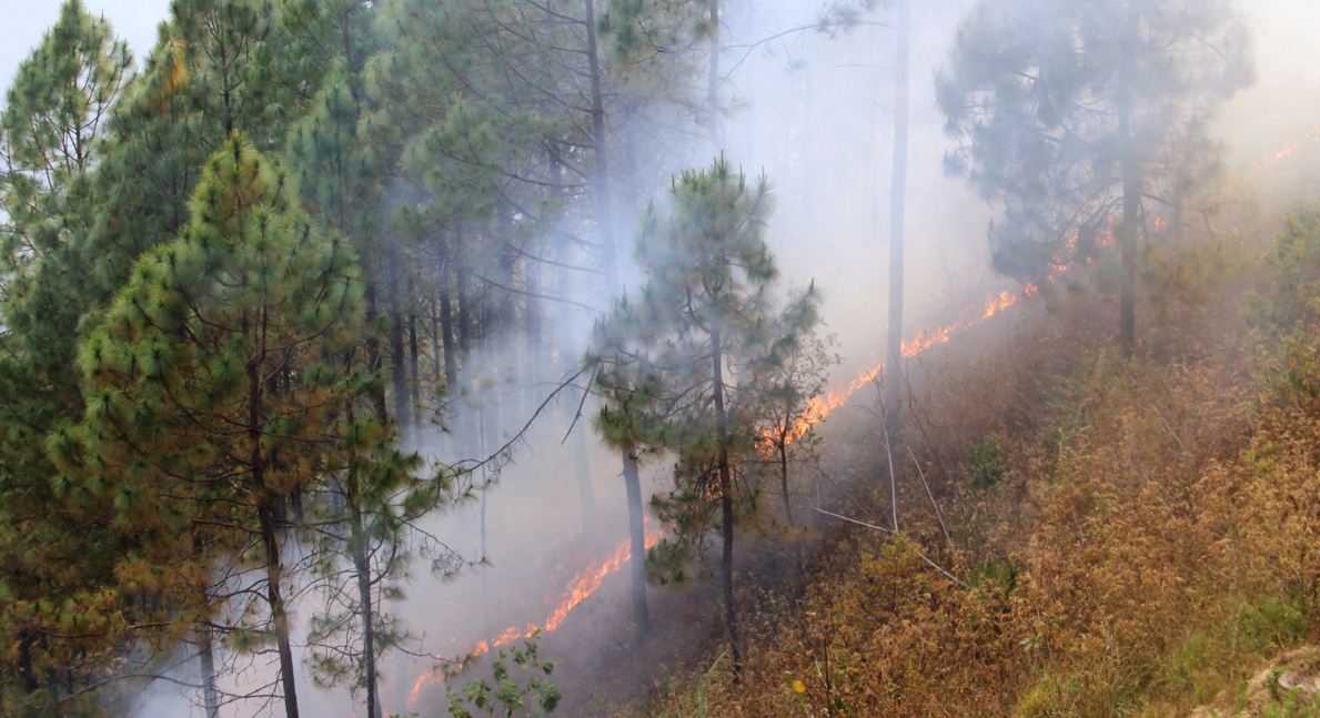 सामुदायिक वनमा आइतबारदेखि डढेलो